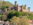 Wertheim Burg